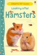 Péče o křečky - Looking after Hamsters