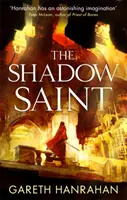Stínový světec - Kniha druhá z Černého železného dědictví - Shadow Saint - Book Two of the Black Iron Legacy