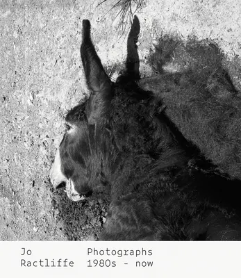 Jo Ractliffeová: Jaké jsou vaše zkušenosti a jaká je vaše kariéra? Fotografie z 80. let 20. století - současnost - Jo Ractliffe: Photographs 1980s-Now