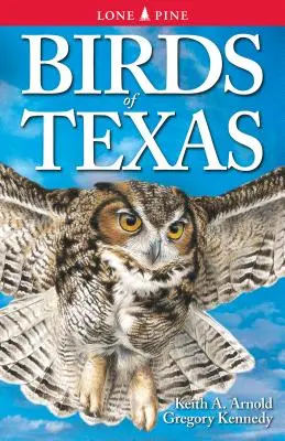 Ptáci Texasu - Birds of Texas