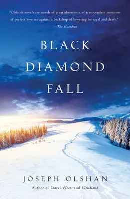 Černý diamantový pád - Black Diamond Fall