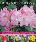 Rododendrony: Ilustrovaný průvodce odrůdami, pěstováním a péčí s návodem krok za krokem a více než 135 krásnými fotografiemi. - Rhododendrons: An Illustrated Guide to Varieties, Cultivation and Care, with Step-By-Step Instructions and Over 135 Beautiful Photogr