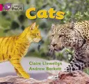 Kočky - Cats