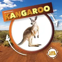 Klokan - Kangaroo