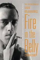 Oheň v břiše: Život a doba Davida Wojnarowicze - Fire in the Belly: The Life and Times of David Wojnarowicz