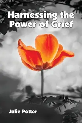 Využití síly smutku - Harnessing the Power of Grief