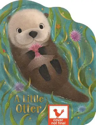 Malá vydra - A Little Otter