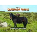 Duch Dartmoorských poníků - Spirit of Dartmoor Ponies