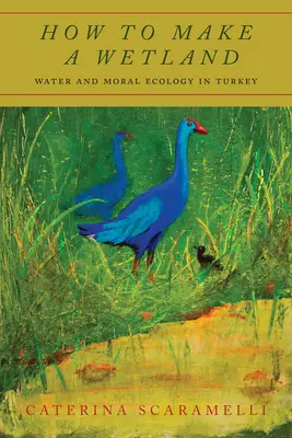 Jak si vyrobit mokřad: Voda a morální ekologie v Turecku - How to Make a Wetland: Water and Moral Ecology in Turkey