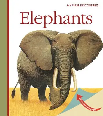 Sloni - Elephants