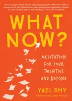 Co teď? Meditace po dvacítce a dále - What Now?: Meditation for Your Twenties and Beyond