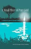 Malý kousek ryzího zlata - Svědectví o síle, která přesahuje náhodu - Small Piece of Pure Gold - A Witness to Power Beyond Chance