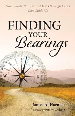 Najít své únosy - Finding Your Bearings