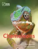 Chameleoni - Chameleons