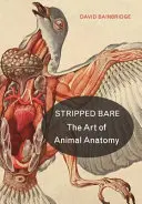 Svlečené do naha: Umění anatomie zvířat - Stripped Bare: The Art of Animal Anatomy