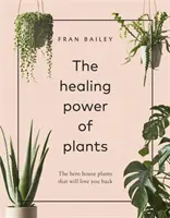 Léčivá síla rostlin - Hrdinové Domácí rostliny, které vám lásku oplácejí - Healing Power of Plants - The Hero House Plants that Love You Back