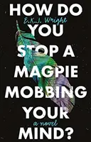 Jak zastavit straku, která vám maniakálně útočí na mysl? - How Do you Stop a Magpie Mobbing Your Mind?