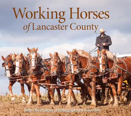 Pracovní koně okresu Lancaster - Working Horses of Lancaster County