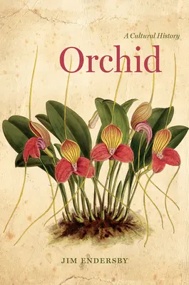 Orchideje: Kulturní dějiny - Orchid: A Cultural History