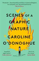 Scény grafické povahy - Scenes of a Graphic Nature