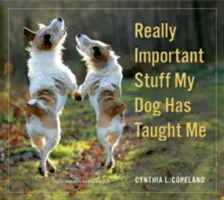 Opravdu důležité věci, které mě naučil můj pes - Really Important Stuff My Dog Has Taught Me