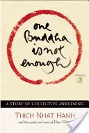 Jeden Buddha nestačí: Příběh kolektivního probuzení - One Buddha Is Not Enough: A Story of Collective Awakening