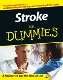 Mrtvice pro blbce - Stroke for Dummies