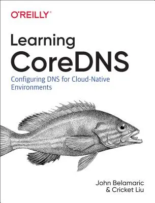 Vzdělávací střediska: Konfigurace DNS pro prostředí Cloud Native - Learning Coredns: Configuring DNS for Cloud Native Environments