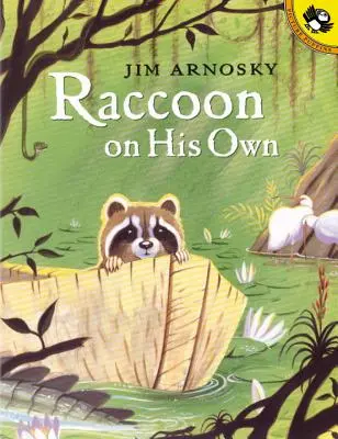 Mýval na vlastní pěst - Raccoon on His Own