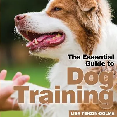 Výcvik psů - Dog Training