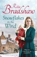 Sněhové vločky ve větru - Snowflakes in the Wind