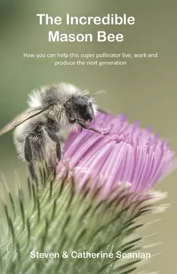 Neuvěřitelná včelka Masonová - The Incredible Mason Bee