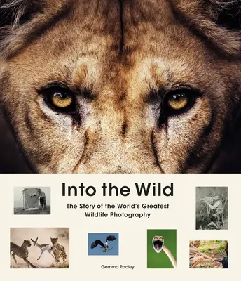 Do divočiny: Příběh nejlepších fotografií divoké přírody na světě - Into the Wild: The Story of the World's Greatest Wildlife Photography