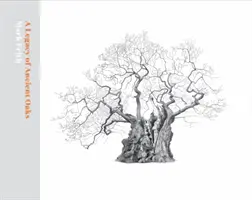 Dědictví starých dubů - A Legacy of Ancient Oaks