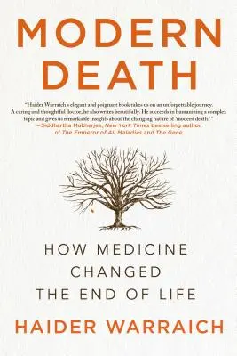 Moderní smrt: Jak medicína změnila konec života - Modern Death: How Medicine Changed the End of Life