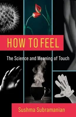 Jak cítit: věda a význam doteku - How to Feel: The Science and Meaning of Touch