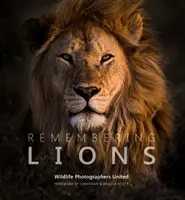 Vzpomínka na lvy - Remembering Lions