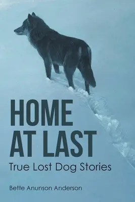 Konečně doma: Pravdivé příběhy o ztracených psech - Home at last: True Lost Dog Stories