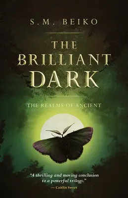Zářivá temnota: Říše Prastarých, kniha 3 - The Brilliant Dark: The Realms of Ancient, Book 3