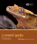 Gekon chocholatý: Pochopení a péče o domácího mazlíčka - Crested Gecko: Understanding and Caring for Your Pet