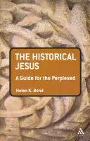 Historický Ježíš: Průvodce pro zmatené - The Historical Jesus: A Guide for the Perplexed