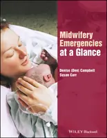 Porodní asistence v kostce - Midwifery Emergencies at a Glance