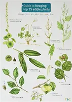 Průvodce hledáním potravy: 25 nejlepších jedlých rostlin - Guide to Foraging: Top 25 Edible Plants