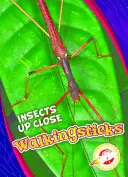 Hůlky - Walkingsticks