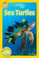 Mořské želvy - Sea Turtles