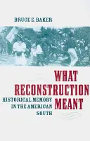 Co znamenala rekonstrukce: Historická paměť na americkém Jihu - What Reconstruction Meant: Historical Memory in the American South