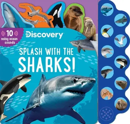 Discovery: Objevování: Šplouchání se žraloky! - Discovery: Splash with the Sharks!