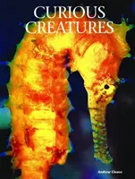 Zvědavá stvoření - Curious Creatures