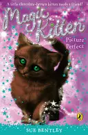 Kouzelné kotě: Obrázek dokonalý - Magic Kitten: Picture Perfect