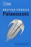Britské prvohorní zkameněliny - British Palaeozoic Fossils